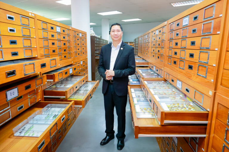 นักวิจัย NSM ค้นพบ “เปราะนพรัตน์” พืชเฉพาะถิ่นของไทยพันธุ์ใหม่ของโลก